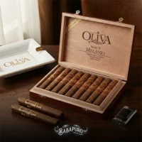 oliva