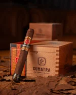 E.P. Carrillo Essence Series Sumatra Toro